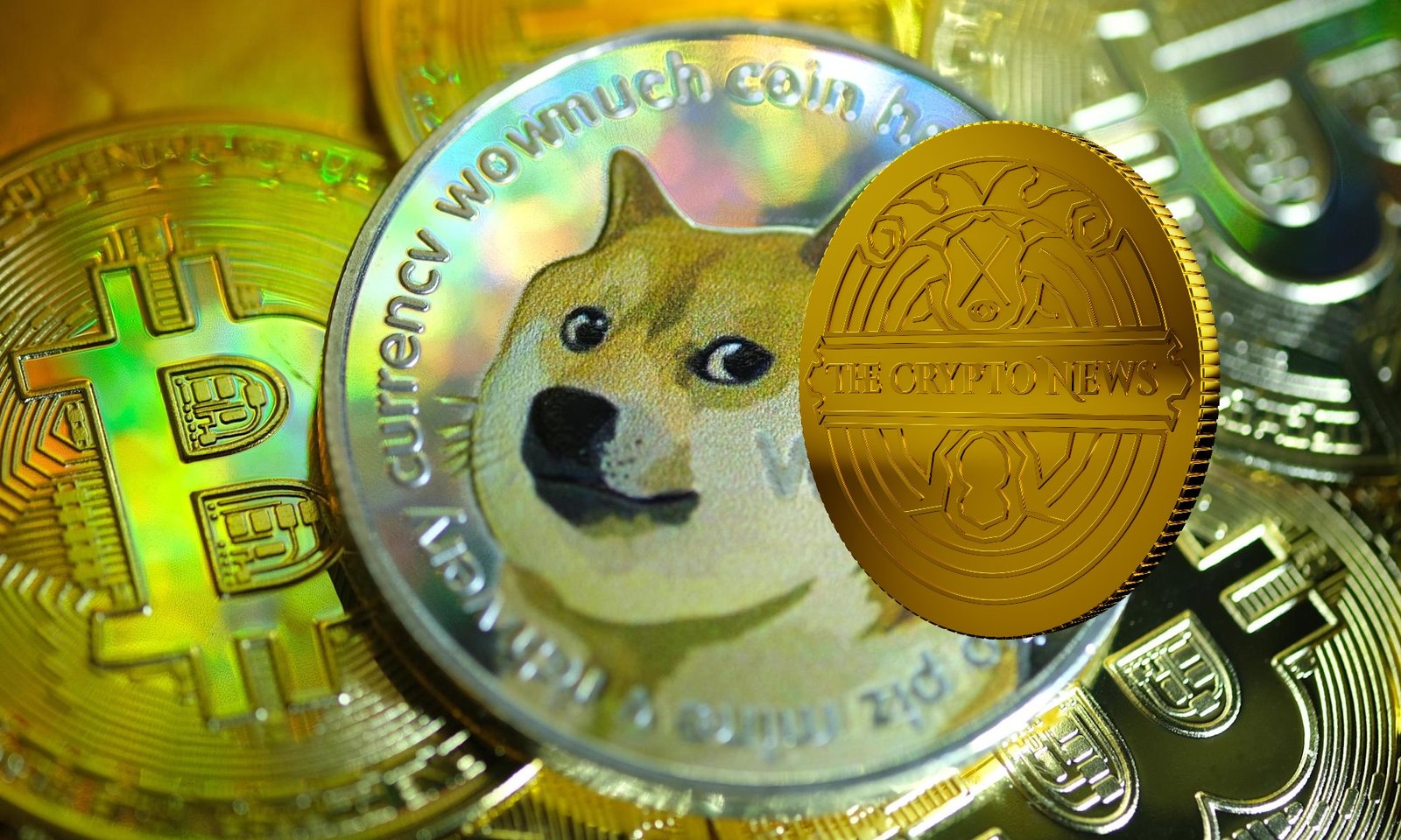 Dogecoin doubles in a day as YTD positive aspects hit 5,000% whereas ...