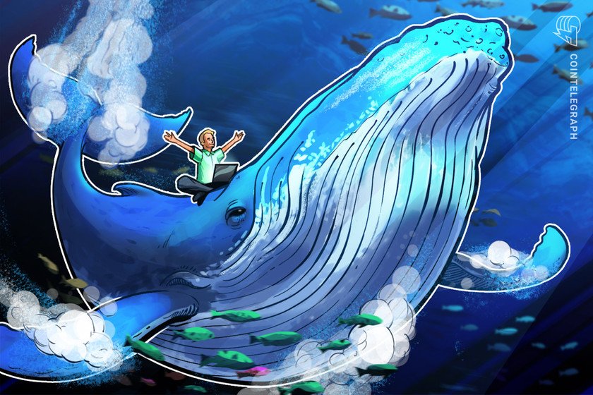 Bitcoin whales feast as BTC keep and the wider market melt down