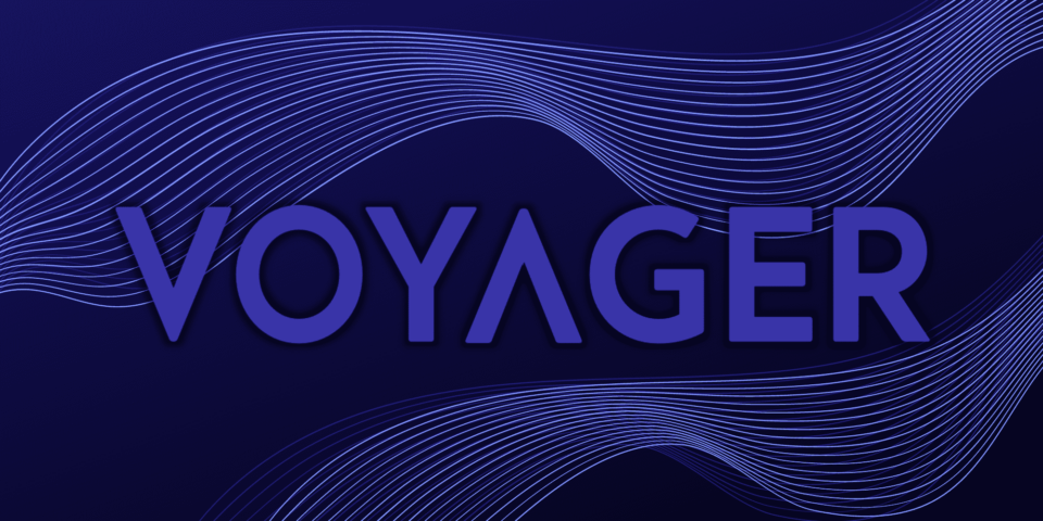 Voyager Crypto Invest: Aspects, Perks, Cons, and That you would possibly factor in decisions