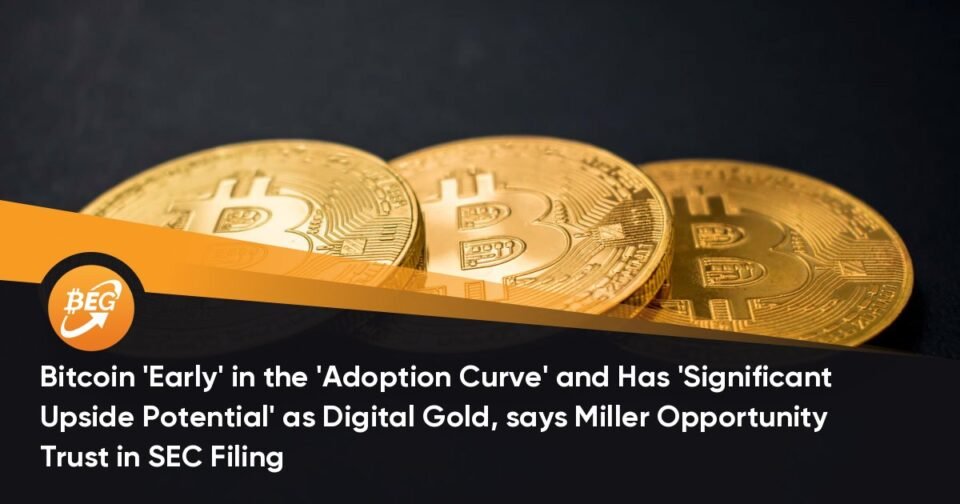 Bitcoin ‘Early’ in the ‘Adoption Curve’ and Has ‘Critical Upside Skill’ as Digital Gold, says Miller Replacement Have confidence in SEC Filing