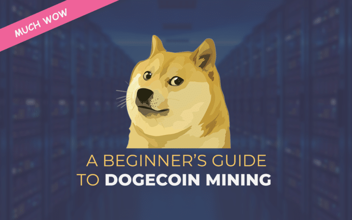 A Beginner’s Files to Dogecoin Mining: The best scheme to Mine Doge for Below $20