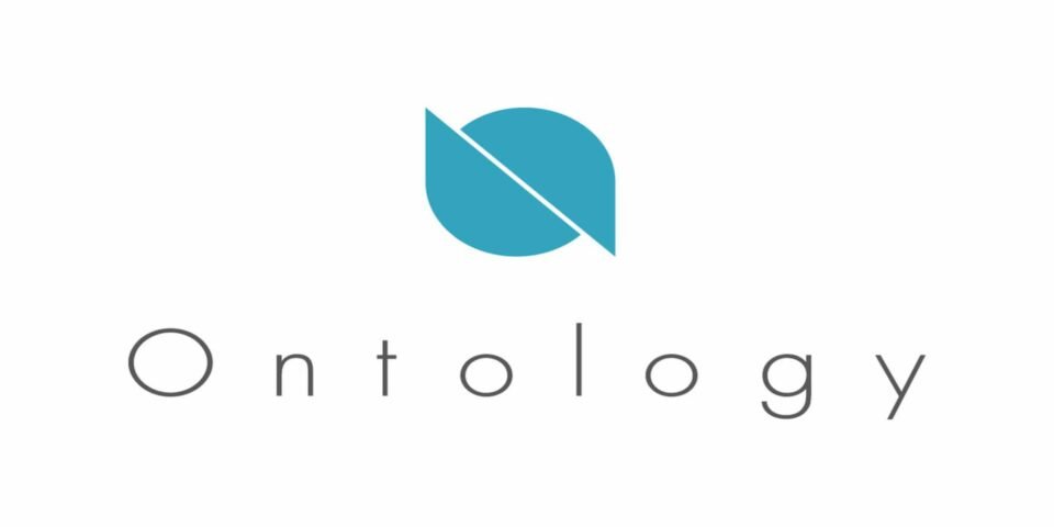 What’s Ontology (ONT)? | Beginner’s Recordsdata