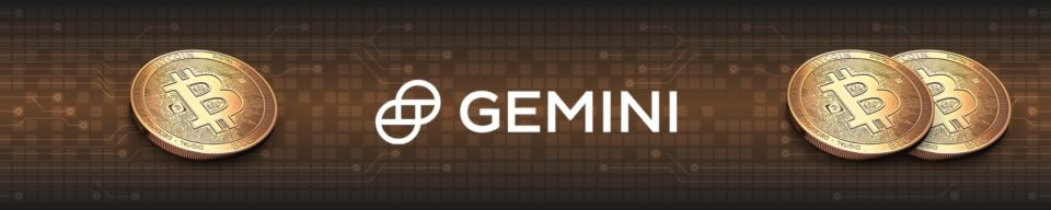 Gemini Overview: Is Gemini Fetch?