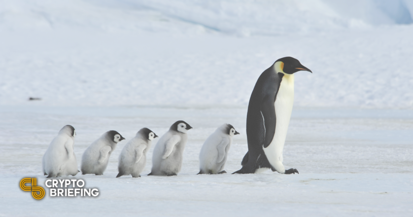 Beefy Penguins: Pump & Dump or NFT Mainstay?