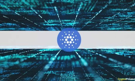 Grayscale Document Reveals The Right, The Imperfect, And The Gruesome Of The Cardano Network