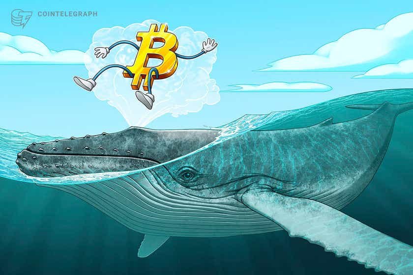 Third-ideal Bitcoin whale’s holdings total $6B after ‘whopping’ 2.7K BTC grab-in