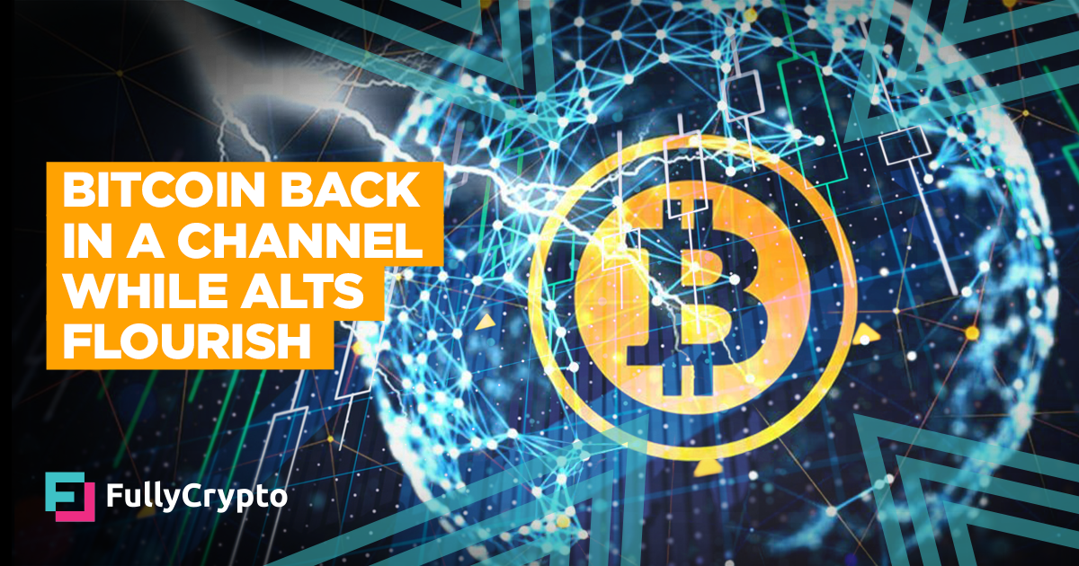 Bitcoin Assist in a Channel While Alts Flourish