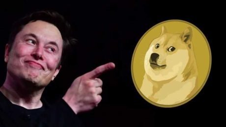 Elon Musk Plans To Severely change The World’s First Dogecoin Trillionaire