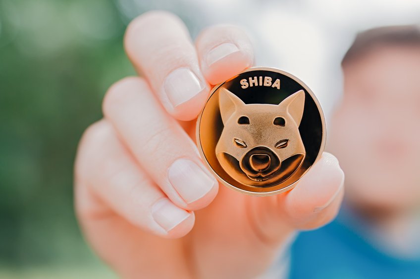 Shiba Inu possibilities can also give a purchase to after blockchain gaming pass