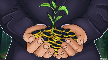 Cardano Basis Completes Funding To Plant 1 Million Trees
