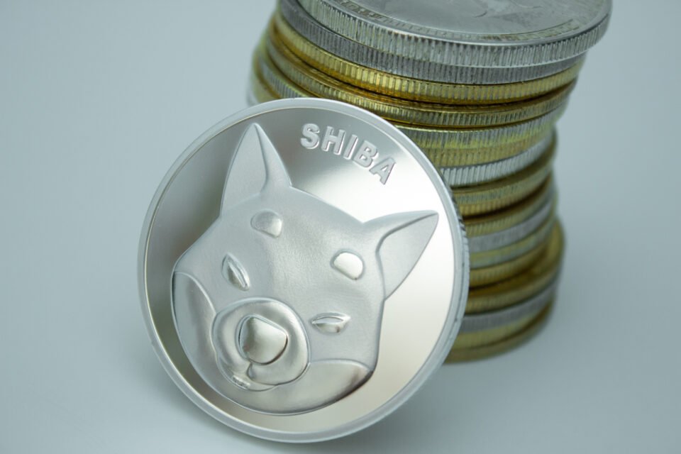 Shiba Inu (SHIB) is getting some traction on Twitter – will price action put together suit?