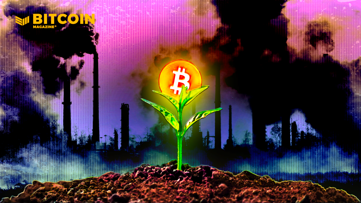 How Bitcoin Goes In opposition to The World Command