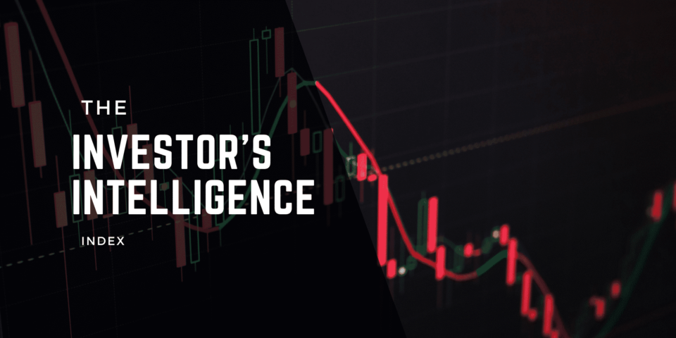 What Is the Investor’s Intelligence Index: Does It Work for Crypto?