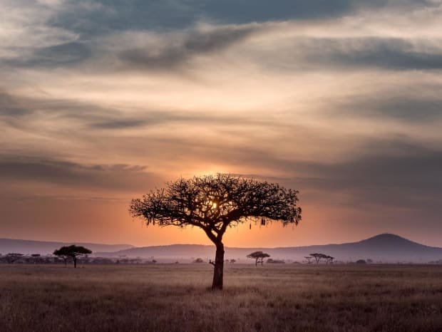 Rising The Bitcoin Vogue Ecosystem In Africa