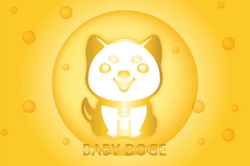 Little one DogeCoin (BabyDoge) gets 1.3 million holders – must tranquil you identify it?