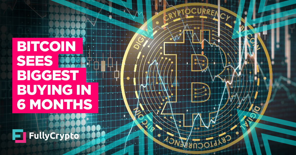 Bitcoin Experiences Greatest Each day Pick Volume for Six Months