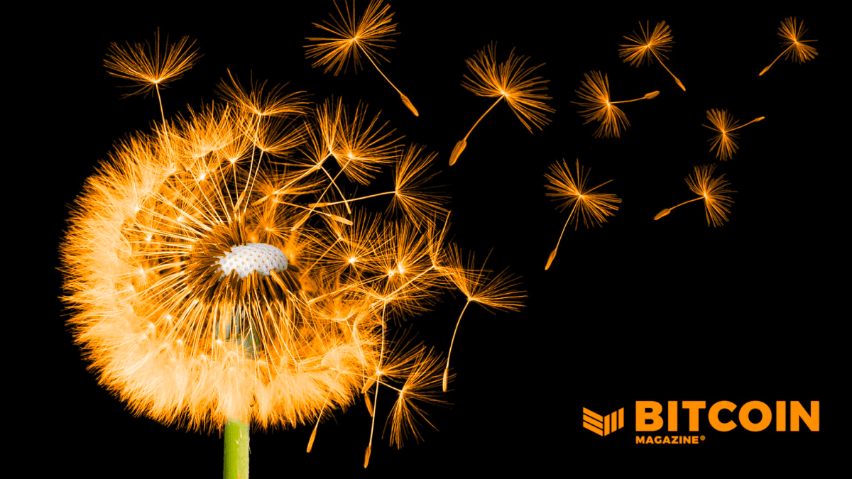 How Bitcoin And Its Ideals Are Revolutionizing Our Meals Consumption