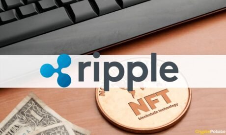 Ripple Welcomes Extra Than 4,000 Artists Into Its Fresh NFT Platform