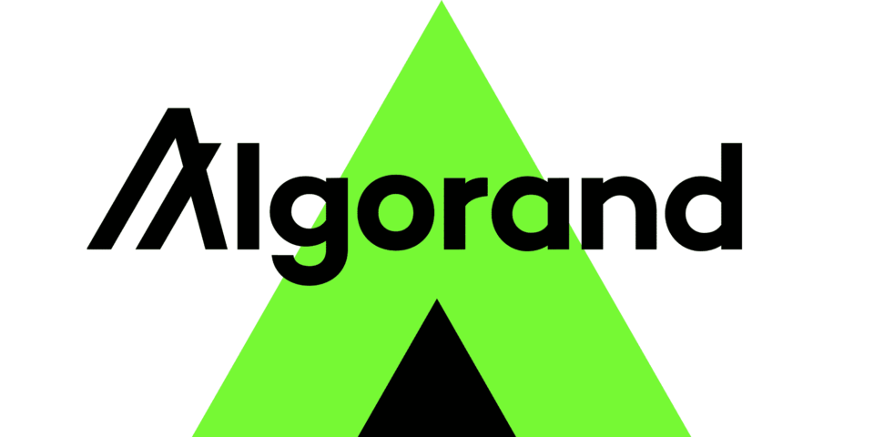 What is Algorand (ALGO)? A Newbie’s Records on the Algorand Mission  