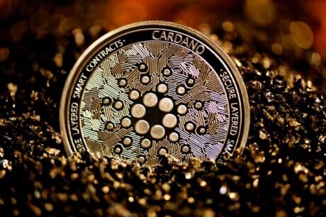 Cardano To Elevate Block Dimension By 10%, Can ADA Support From This Community Development?