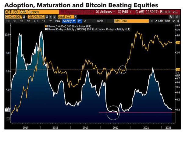 Bloomberg Intelligence Characterize: Bitcoin Is Becoming A Possibility-Off Asset As Inflation Rises