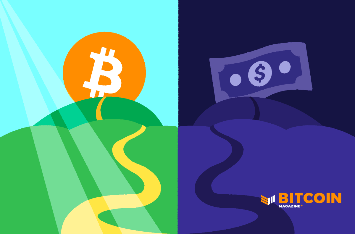 The Walk Via Bitcoin Is Elephantine Of Helping Palms