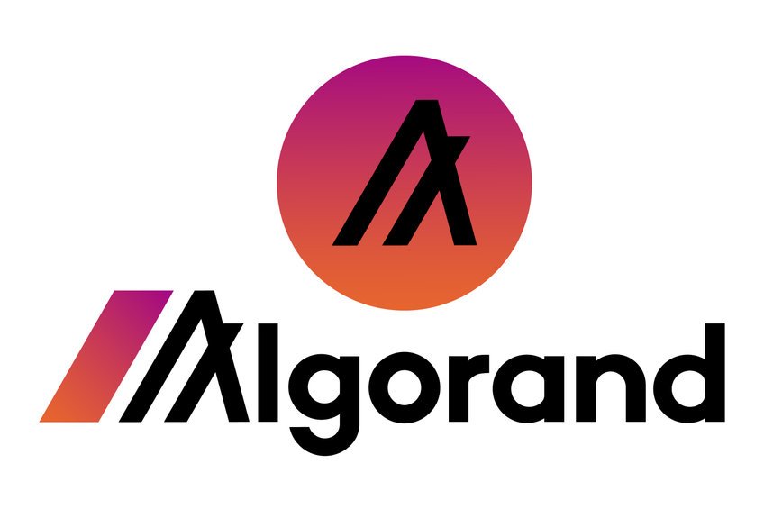 Algorand appoints intervening time CEO to replace Steven Kokinos