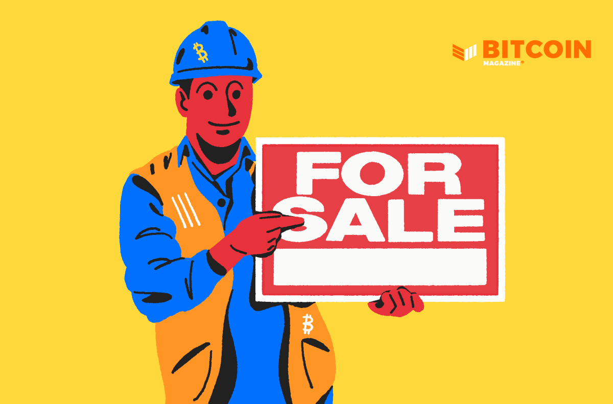 Measured In opposition to Bitcoin, All the pieces Will Descend In Label Forever
