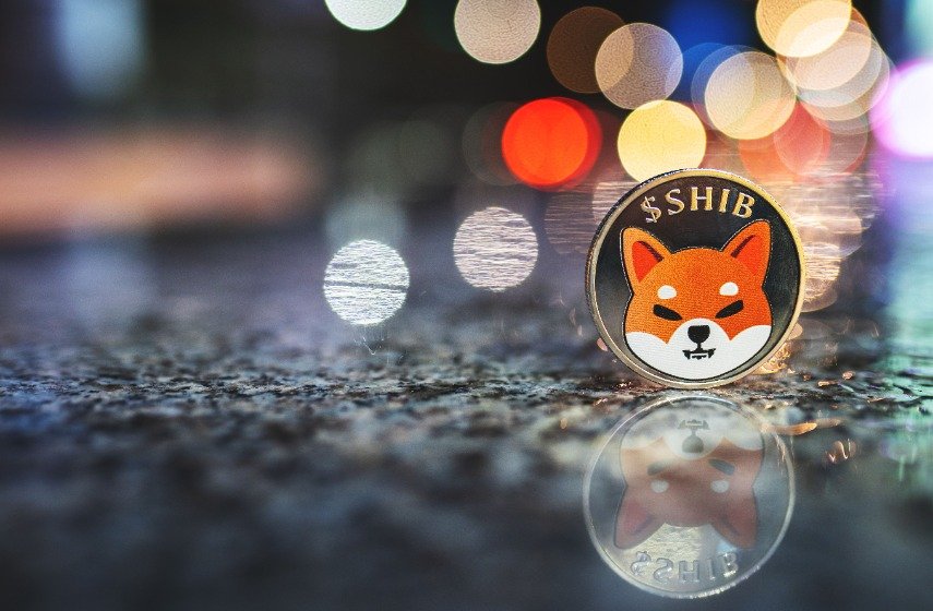 Shiba Inu prediction as trace retraces 50%. What have to peaceful you develop?