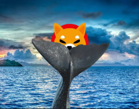 Shiba Inu (SHIB) Ranks No. 1 In High 5,000 ETH Whales’ Crypto Holdings