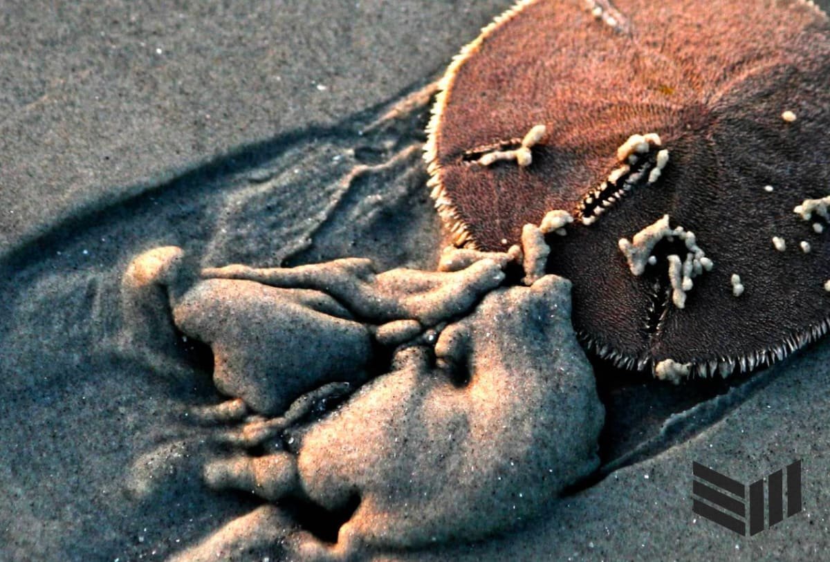 Castles Made of Sand Bucks: SBF, FTX, and other Three Letter Agents