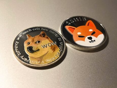 Shiba Inu Observes Absolute most sensible Rise In Burn Price – Is This Customary?