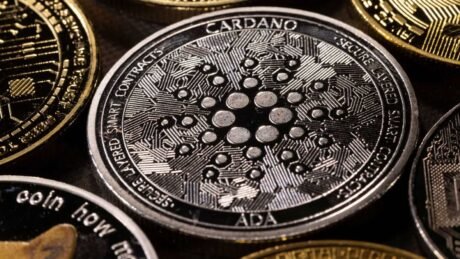 Cardano’s Aggressive Model Job Will Withstand Occupy Assault At $0.3?