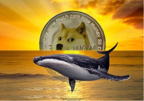 Whales Rep 500 Million Dogecoin – Will DOGE Hit $0.1 Worth?