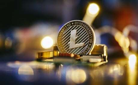 Litecoin Label Could Rally 285% Pre-Halving Primarily based On Historical Records