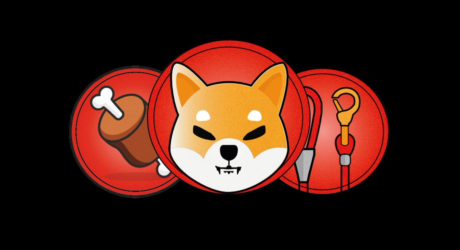 BONE Surges 8.3% As OKX Amasses 1.71 Million BONE Tokens In Single Day