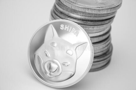 Shiba Inu Label Holds Above $0.00001 – Is It Time For A Rally?