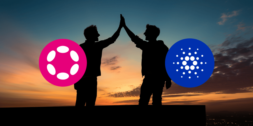 Cardano Faucets Polkadot To Energy Multi-Chain Growth