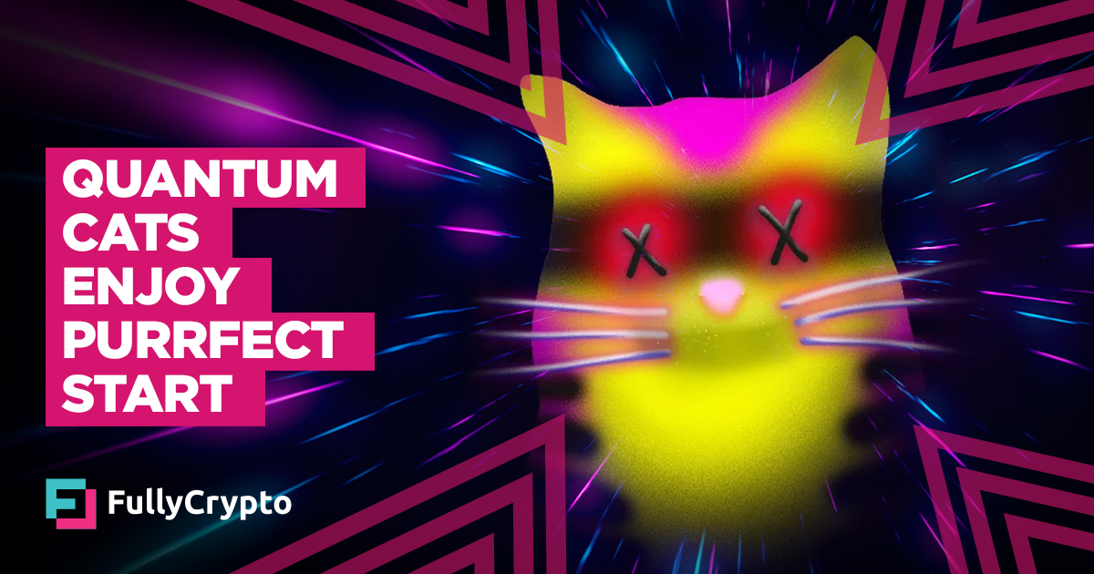Taproot Wizards’ Quantum Cats Double in Imprint Hours After Itemizing