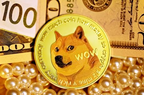 Dogecoin In Interrogate: Files Reveals DOGE Adoption Is Accelerating