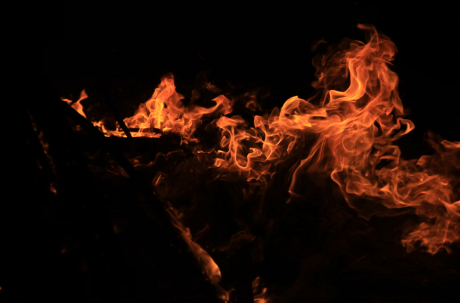 Shiba Inu Mania: Designate Surges 60% As Burn Fee Heats Up Over 22,000%