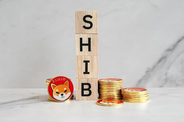 Overlooked out on Shiba Inu (SHIB)? Memecoin (MEME) and NuggetRush (NUGX) could well also explode subsequent