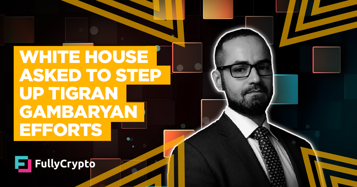 White Rental Requested to Step In Over Tigran Gambaryan Mumble