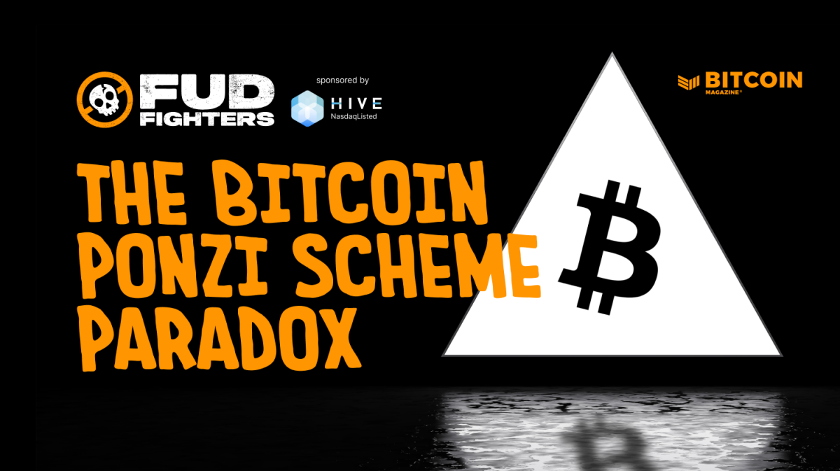 The Bitcoin Ponzi Plot Paradox