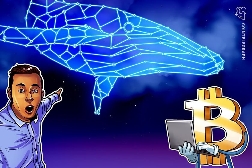 Bitcoin whales area to stack extra amid ‘over priced’ Mt. Gox FUD: Analyst