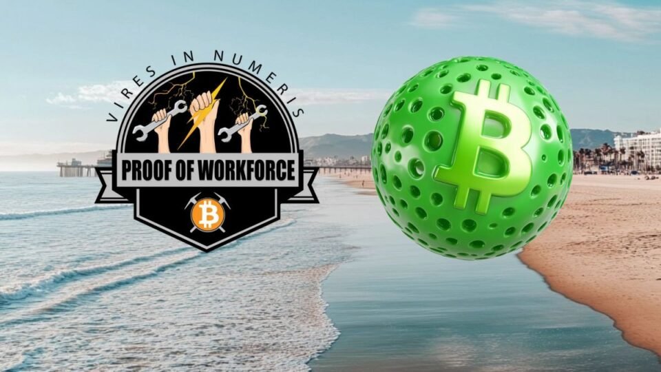 “PickleBit”: Proof of Team of workers, Fold, and Quandary Pop Accomplice on Pickleball Tournament, Offer Bitcoin Prize Pool