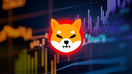 Shiba Inu Would possibly per chance per chance per chance Witness A Fifty three% Surge If This Resistance Breaks, Analyst Explains
