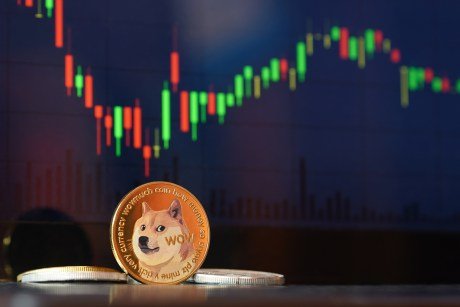 Dogecoin Whales Desert Market: Number Of $100,000 Transactions Nosedives 70%