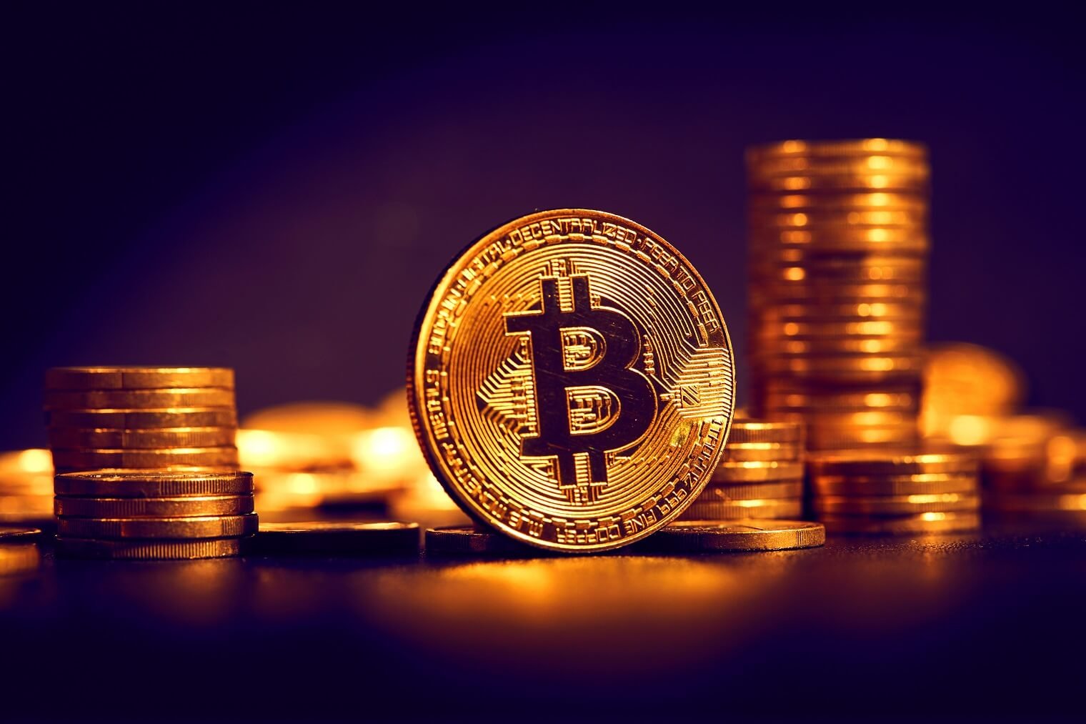 Dogizen readies for start market as crypto majors rebound
