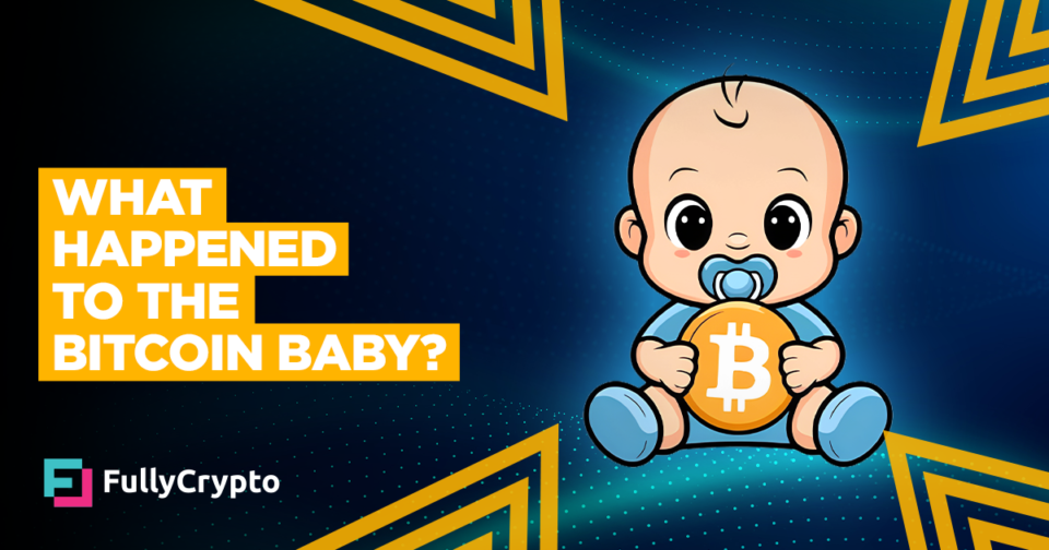 What Came about to the Bitcoin Small one?